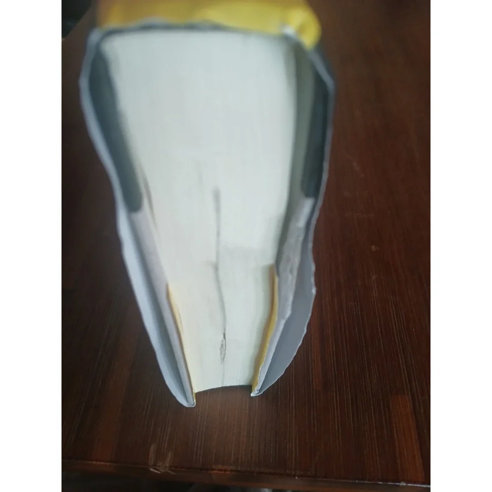 Bernadette‎ Atuahene Plundered Hardback Bernadette Atuahene